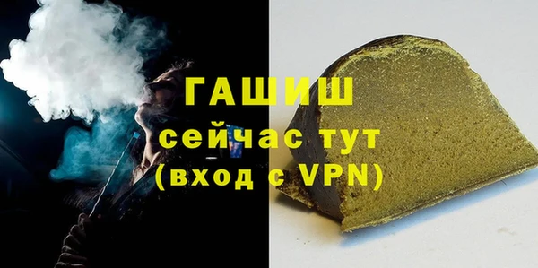 индика Гусь-Хрустальный