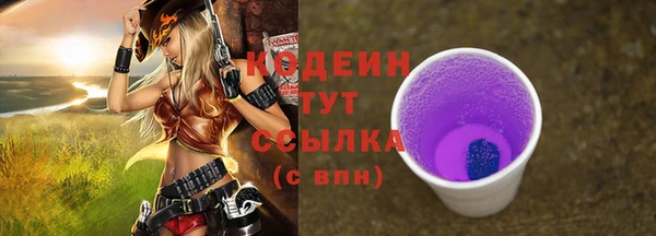 индика Гусь-Хрустальный