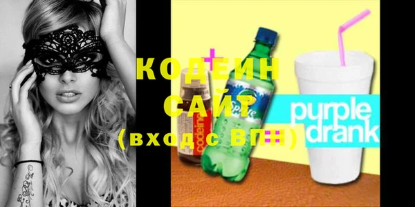 индика Гусь-Хрустальный
