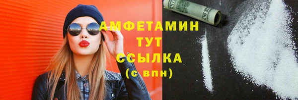 индика Гусь-Хрустальный