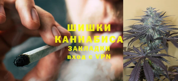 индика Гусь-Хрустальный