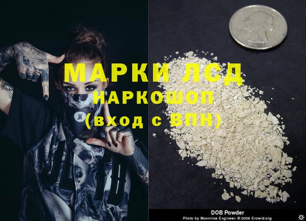 индика Гусь-Хрустальный