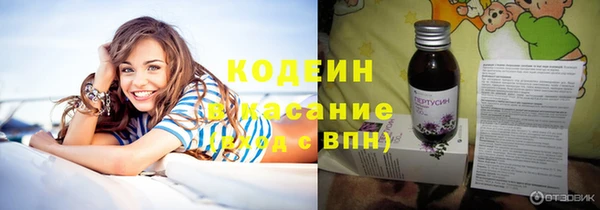 шишки Гусев