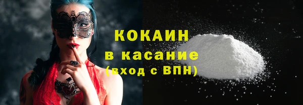 индика Гусь-Хрустальный
