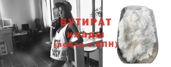 индика Гусь-Хрустальный