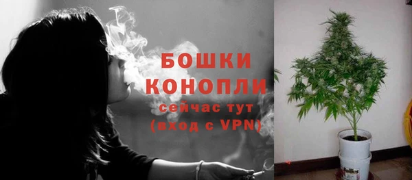 шишки Гусев