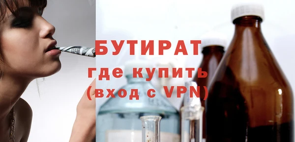 шишки Гусев