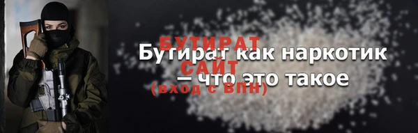 шишки Гусев