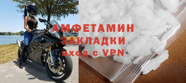 шишки Гусев