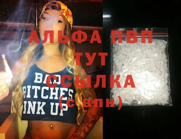 индика Гусь-Хрустальный