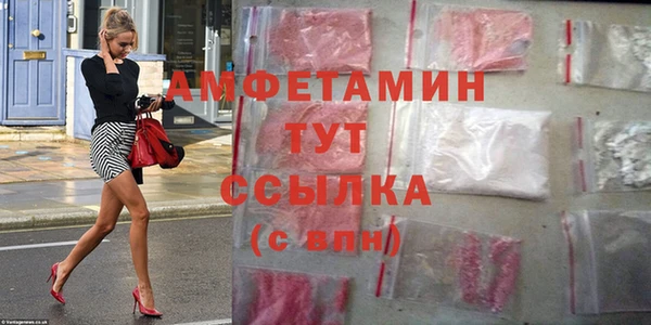 индика Гусь-Хрустальный