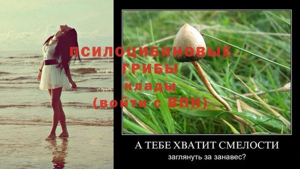 шишки Гусев