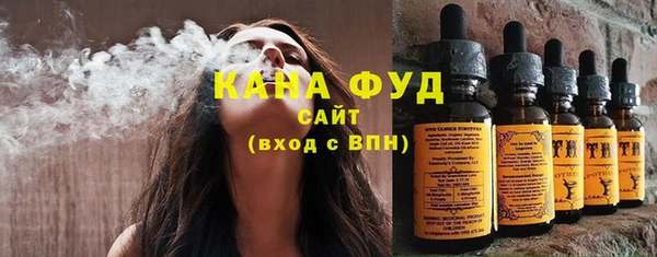 индика Гусь-Хрустальный