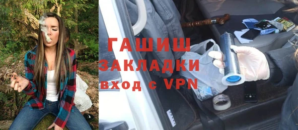 шишки Гусев
