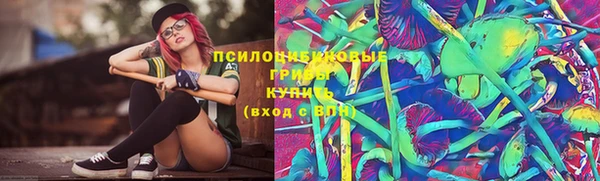 шишки Гусев