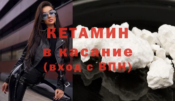 шишки Гусев