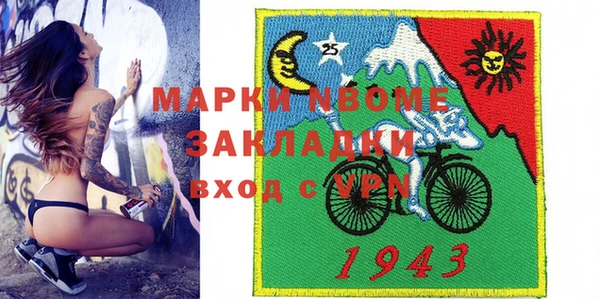 индика Гусь-Хрустальный