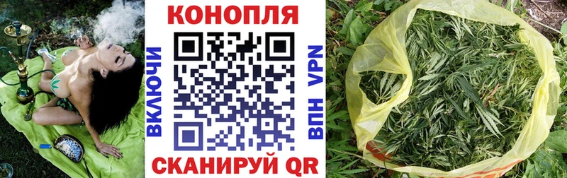 Конопля SATIVA & INDICA  Купить где  Шадринск 